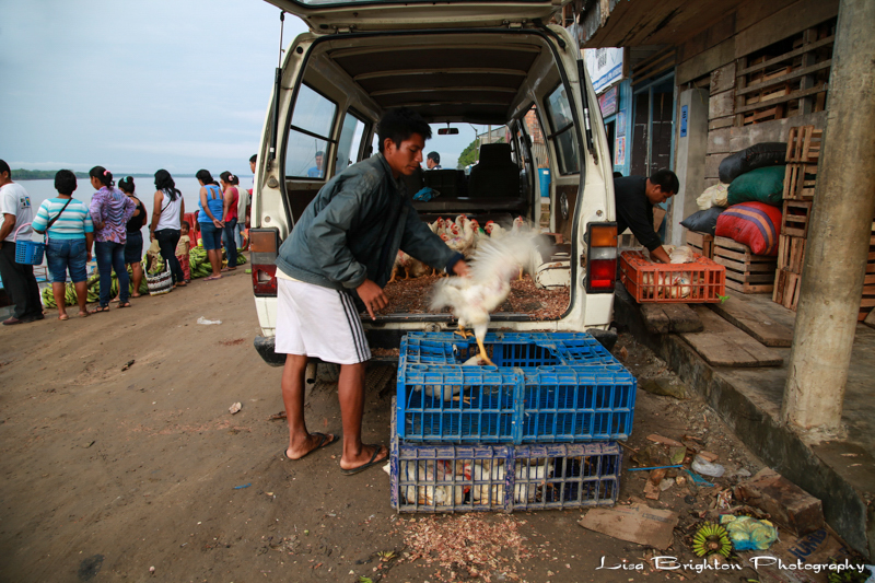 3. Market Day C